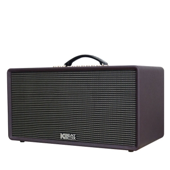 loa Acnos Flac 36 Phiên bản Pin Rời