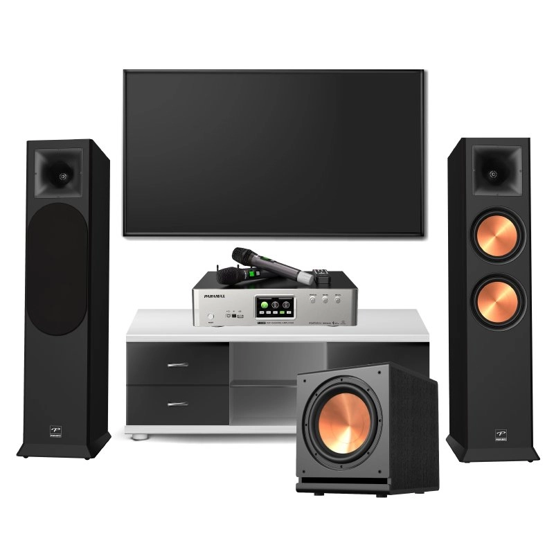 Dàn Karaoke Paramax (EURO 8 Limited, SUB D30, Z-A450)