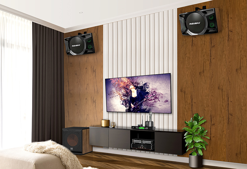 giá của loa karaoke Paramax P2500