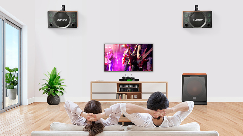 giá của Loa karaoke Paramax SC 3500