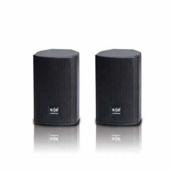 Loa SE Audiotechnik M-42G2